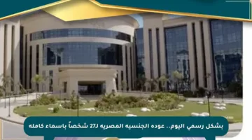 بشكل رسمي اليوم.. عودة الجنسية المصرية لـ27 شخصاً بأسماء كاملة